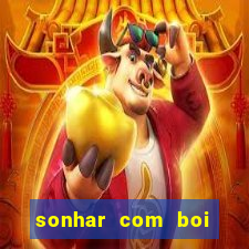 sonhar com boi jogo do bicho